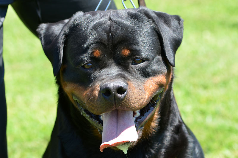 Yumbo von der Alten Festung Yumbo von der Alten Festung